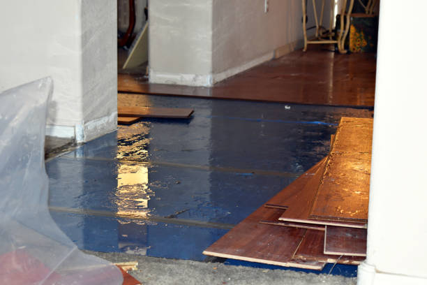 Professional Flood Cleanup technician working in Colchester, IL