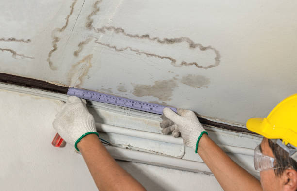 Reliable Flood Cleanup contractor in Colchester, IL by Water Damage Irwin
